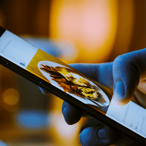 Get Leads from Facebook & Instagram - 224 DIGITAL