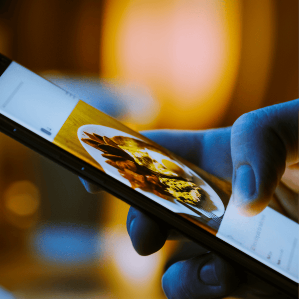 Get Leads from Facebook & Instagram - 224 DIGITAL